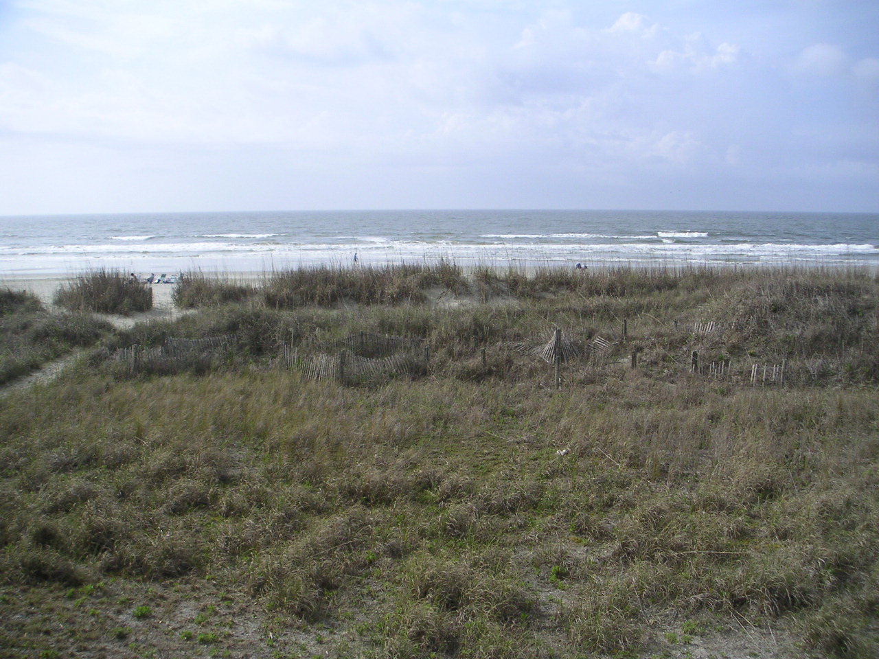 Beach Access Path